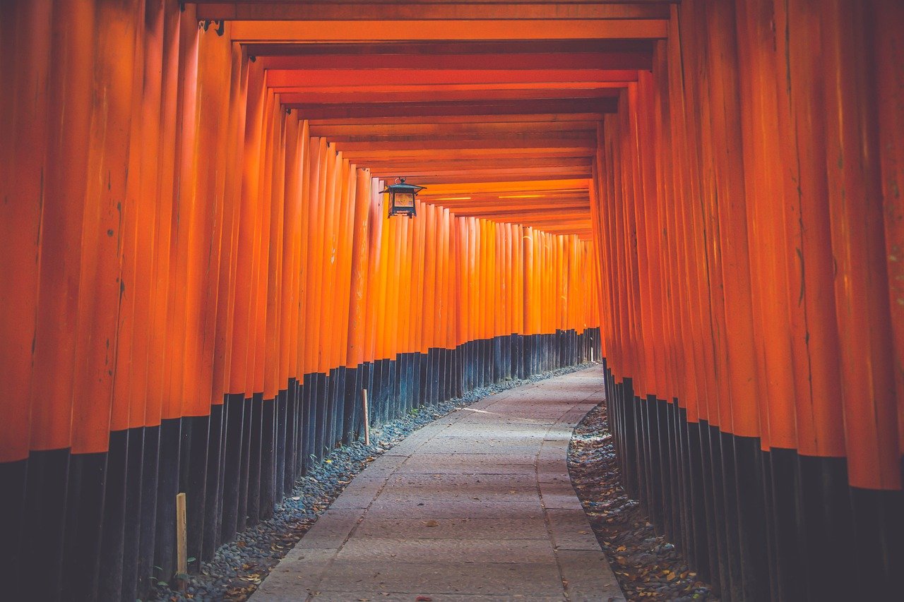 shinto shrine gates, torii tunnel, path-1869216.jpg